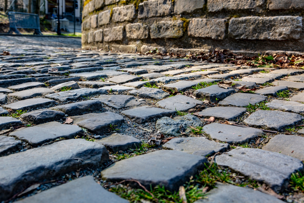 shutterstock_1360048739