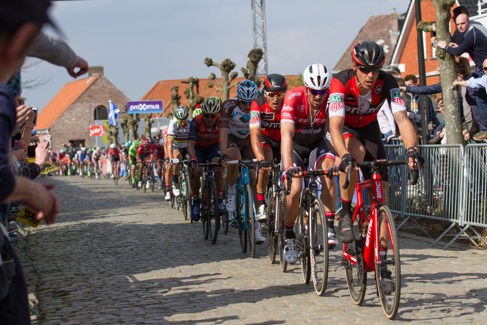 shutterstock_613852082